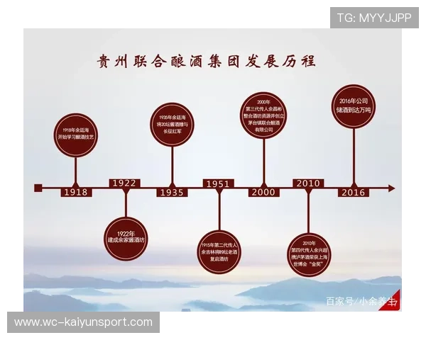 茅台镇项目遇阻，社会资本如何打消疑虑？，茅台镇发展